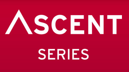 Kimber Kable PK10 Gold Power Cable