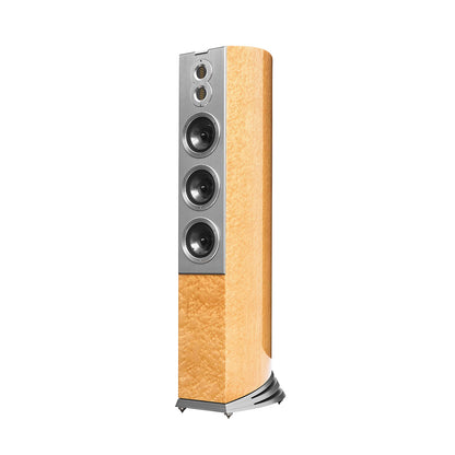 Audiovector R-10 Avantgarde Arreté Floor Standing Speakers (Pair)
