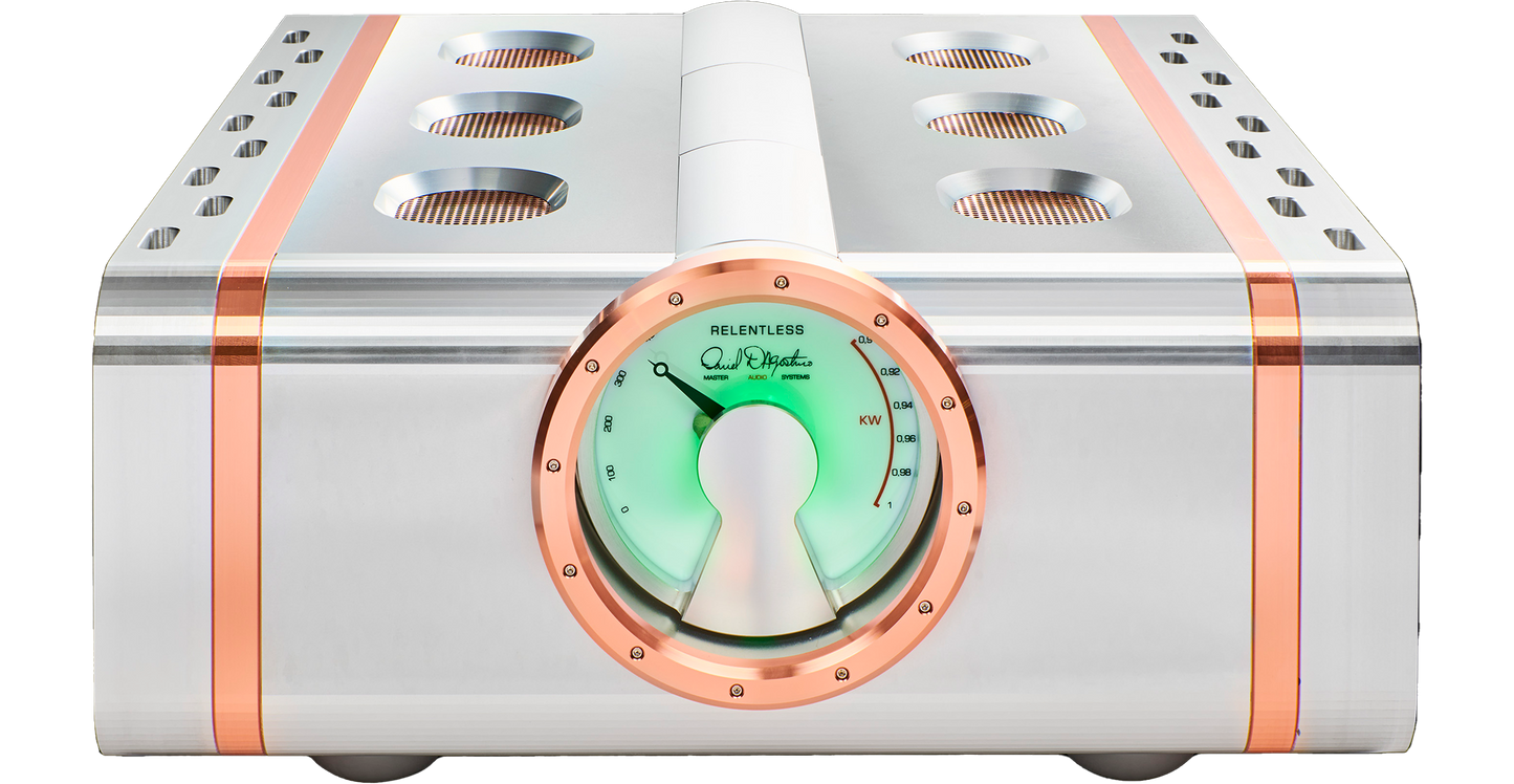 Dan D'Agostino Relentless 800 Monoblock Amplifier