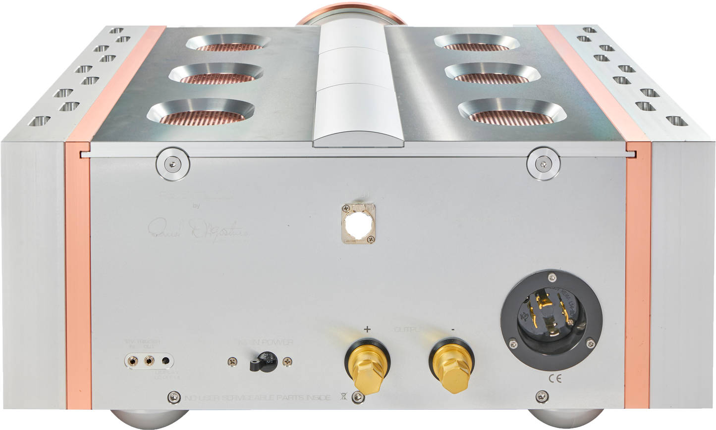 Dan D'Agostino Relentless 800 Monoblock Amplifier