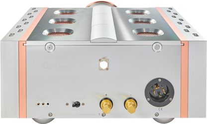 Dan D'Agostino Relentless 800 Monoblock Amplifier
