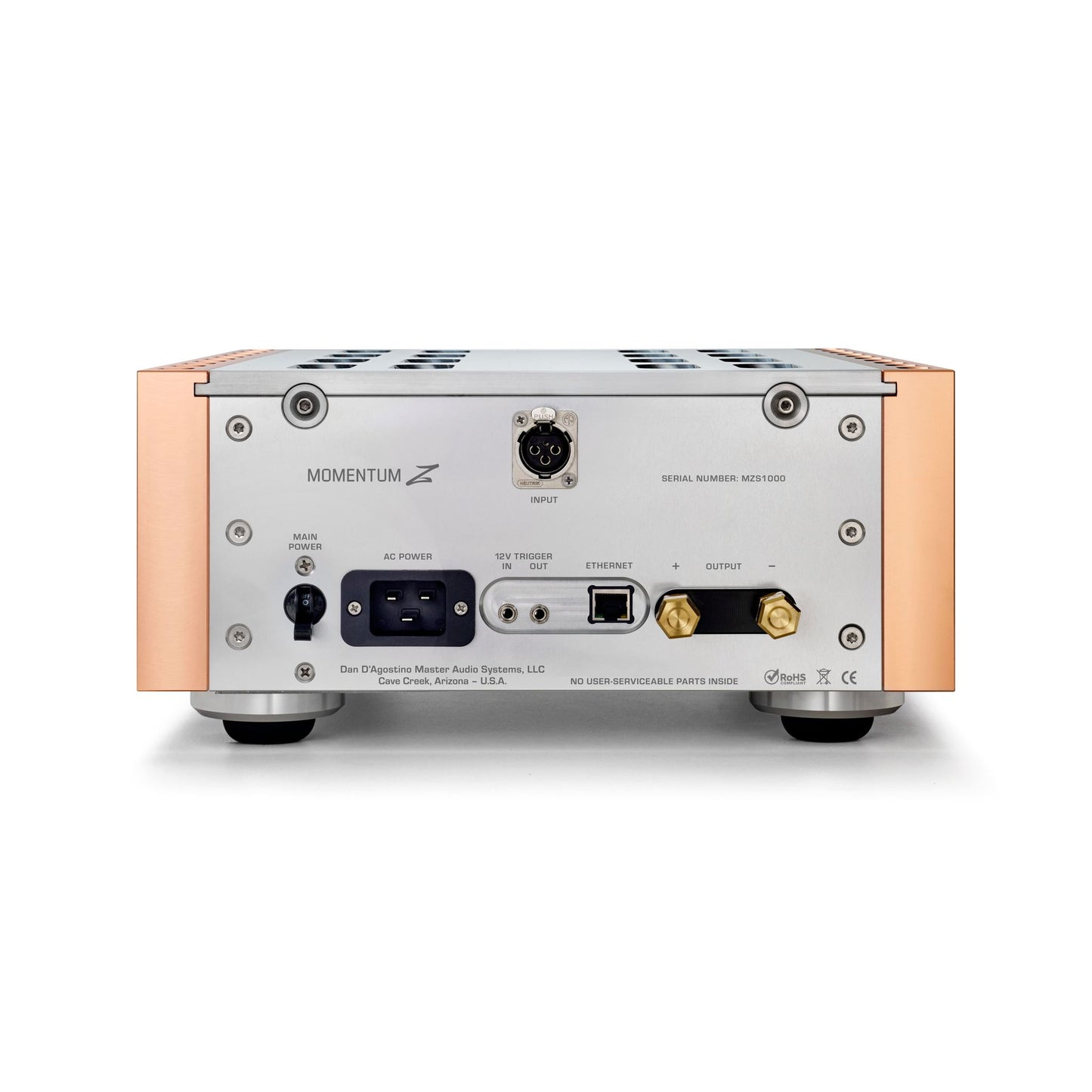 Dan D'Agostino Momentum Z Monaural Amplifier (Pair)