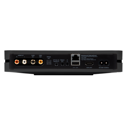 Bluesound Node Audio Streamer