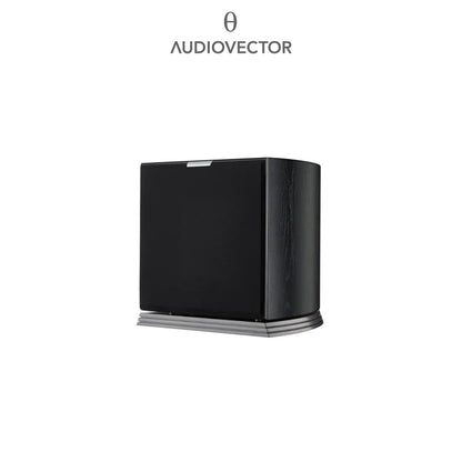 Audiovector R-Sub Arreté Subwoofer