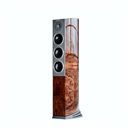 Audiovector R-8 Avantgarde Arreté Floor Standing Speakers